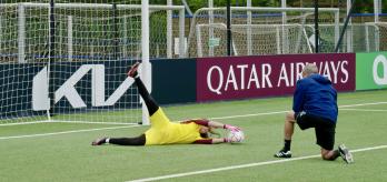 Learning to perform an attacking dive