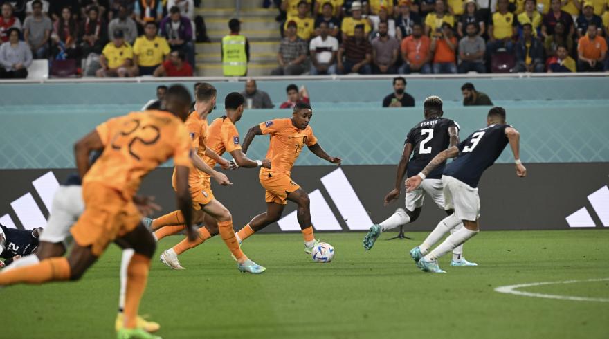 Netherlands 1-1 Ecuador